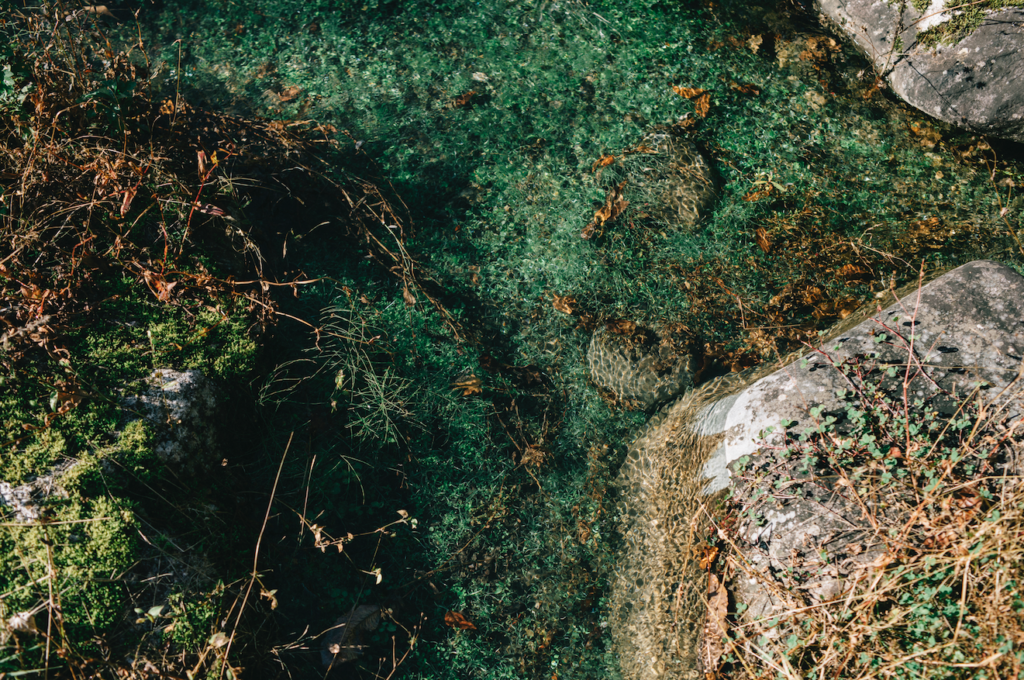 Kongcong Kongcong こんこん Website 飛騨のクリエイティブチーム